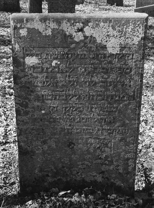 Grafsteen Brendele Lazarus Levie 1819.7